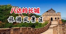 甜鸡巴的网站操女人中国北京-八达岭长城旅游风景区